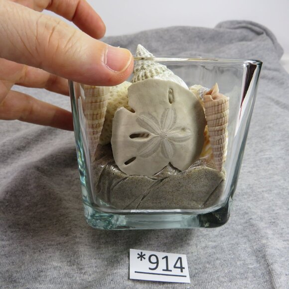 REAL Sea Shells in a Glass Square Vase and sand #5 - Picture 4 of 9